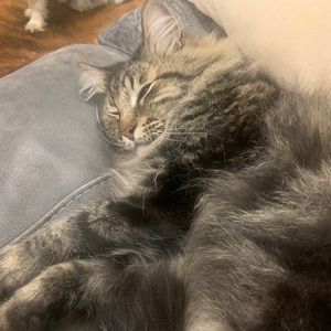 Meet your Posher, Tia